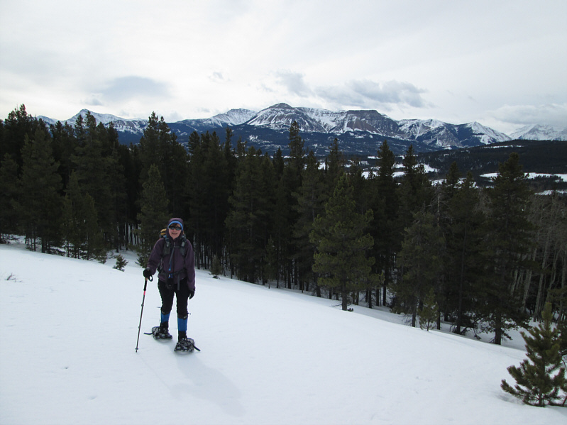 Dinah, the one-pole wonder!
