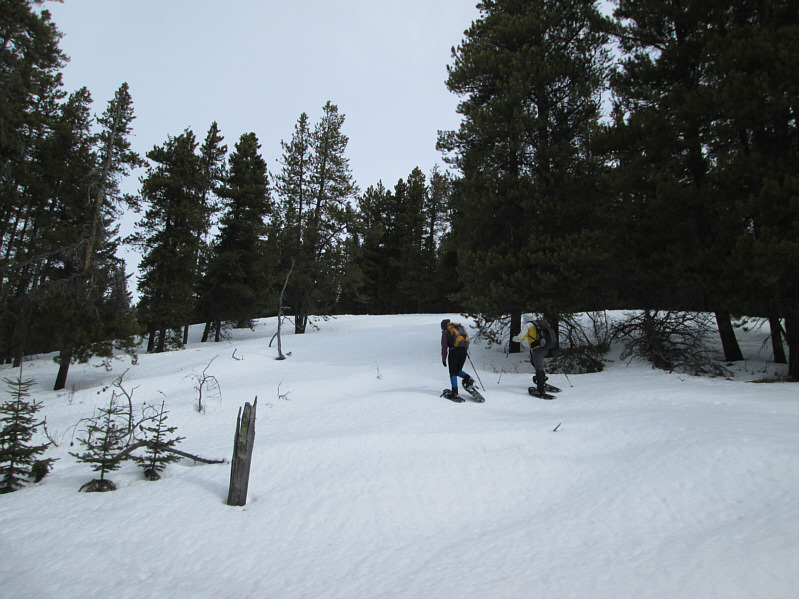 Good spot for tobogganing!