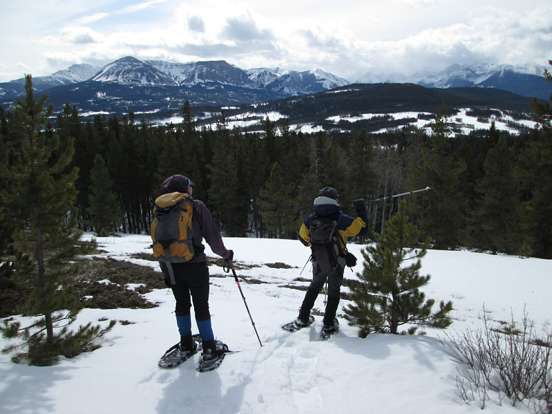 Speak, or forever hold your pee!