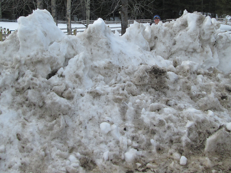 Actually, this wall of snow doesn't offer as much privacy as you might think!