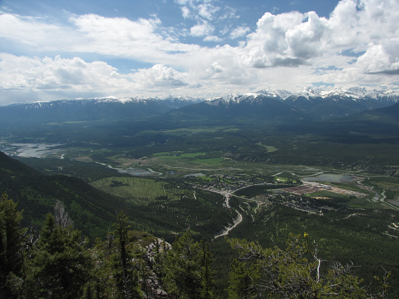 Wish I was golfing right now...