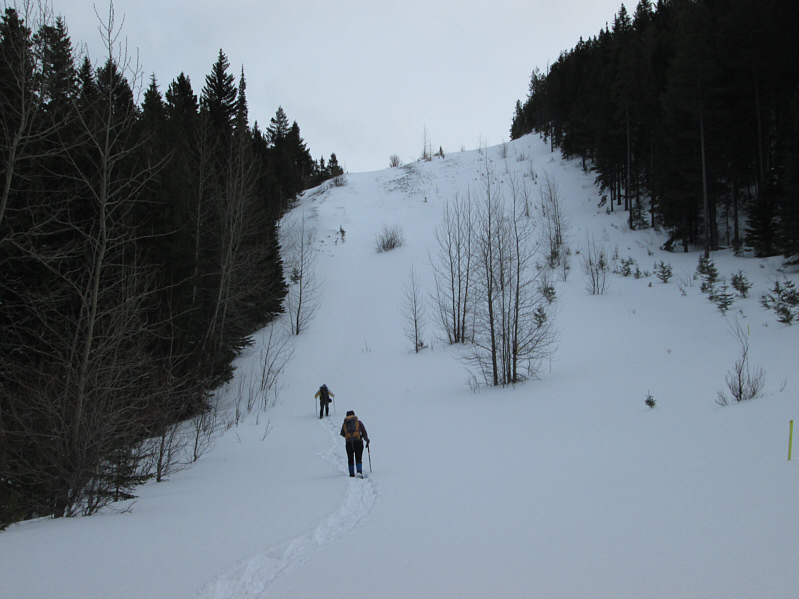 Whew...I'm tired already!