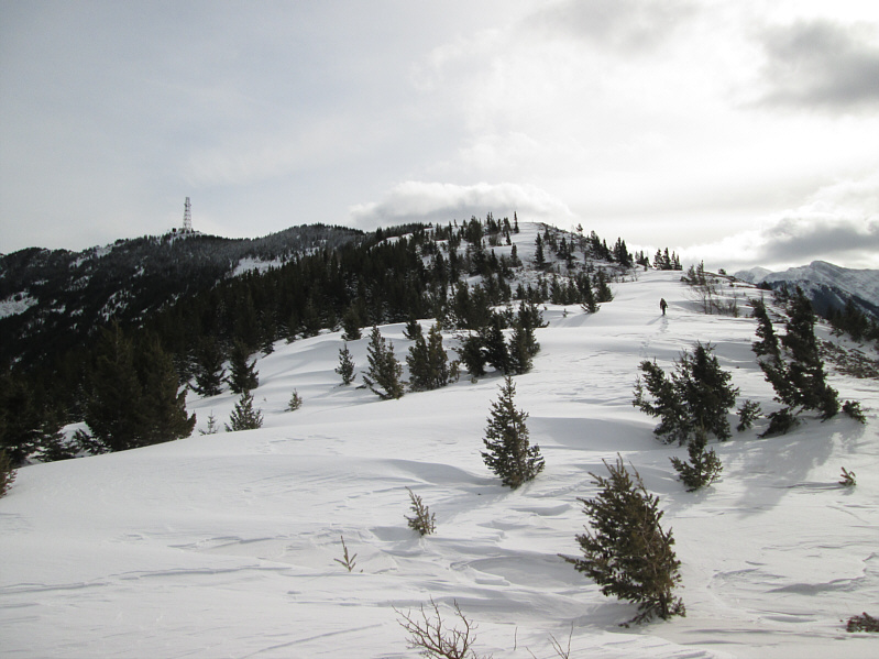 I thought it would be smooth-sailing from this point on...doh!