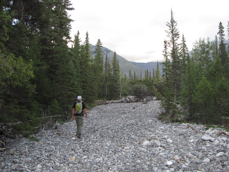 You're gonna be sick of this rubble before the end of the day...