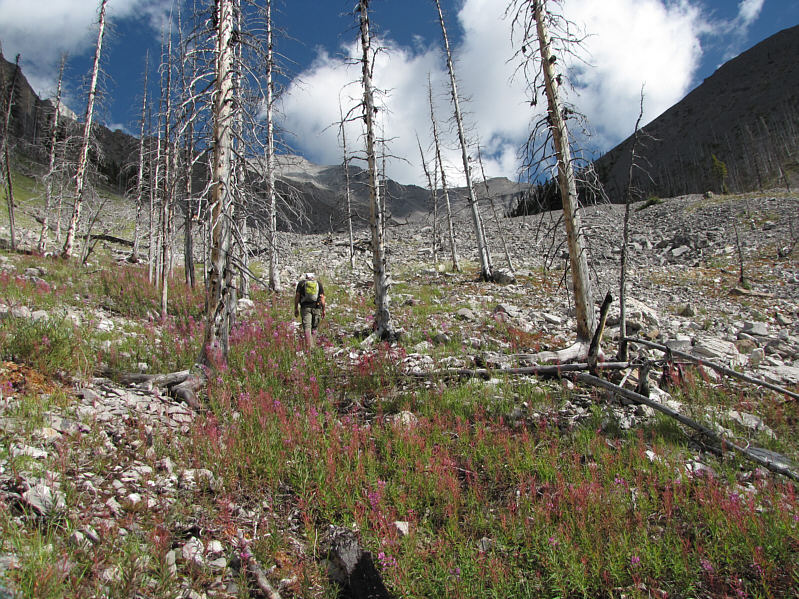 The terrain is opening up nicely.