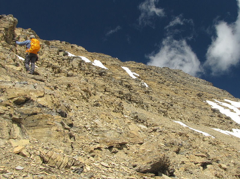 Can you spot the two mountain goats in the photo?