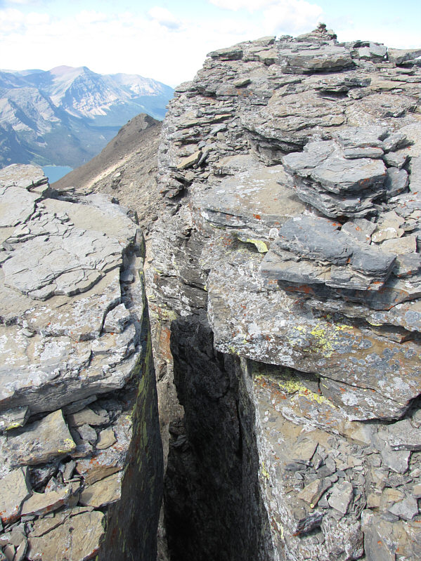 Not everyone's cup of tea!