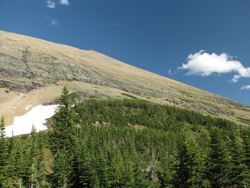 Wouldn't wanna go up this way...or down!