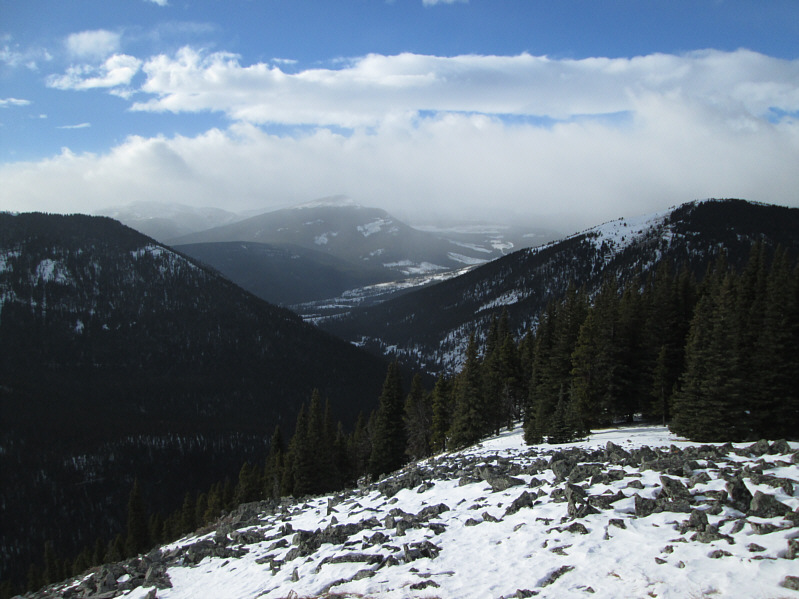 Actually, I'm quite eager to plunge into the forest again and get out of this bloody wind!