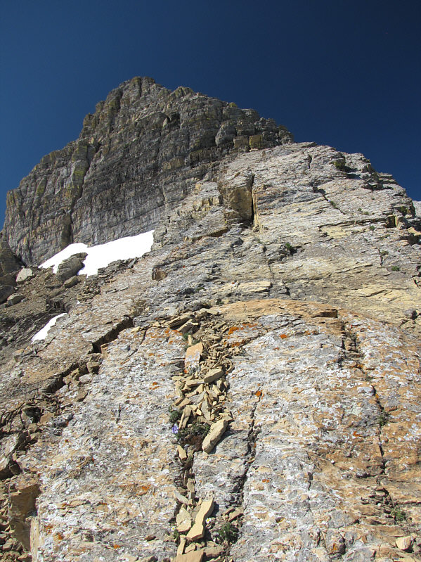 Whew! The heat from the sun is just killing me right now!