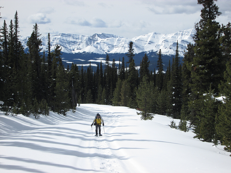 Easy but kinda boring.