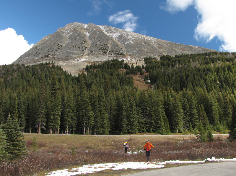 I guess we're taking the direct route!