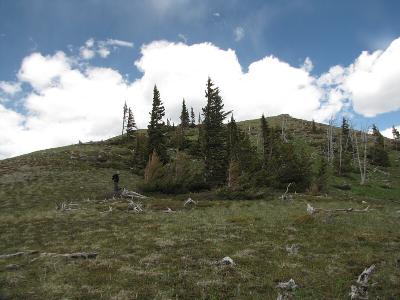 A lot of bushwhacking to get this far!