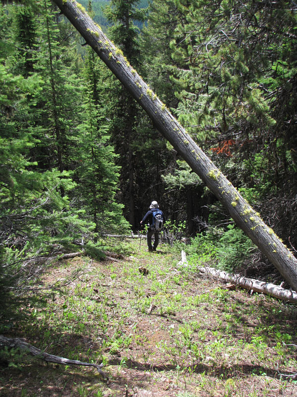 Very steep--I would not want to climb up this way!