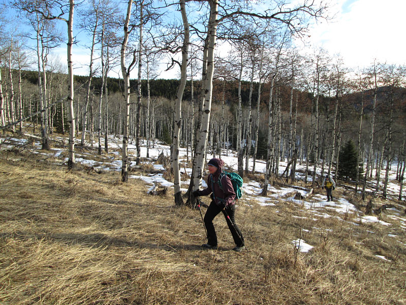 Watch out for all the cow patties around here!