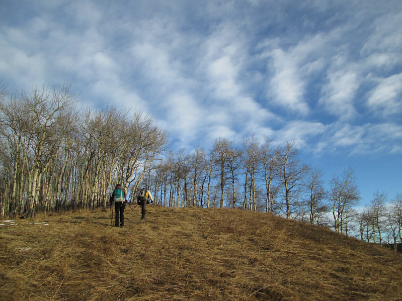Show's over. Back into the trees!