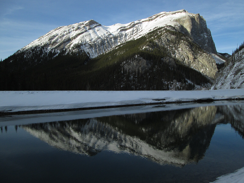 No beavers in the canal today.
