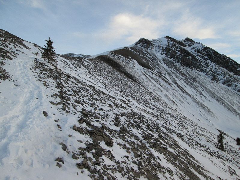From here, it looks like the Three Miners are higher than Miners Peak.