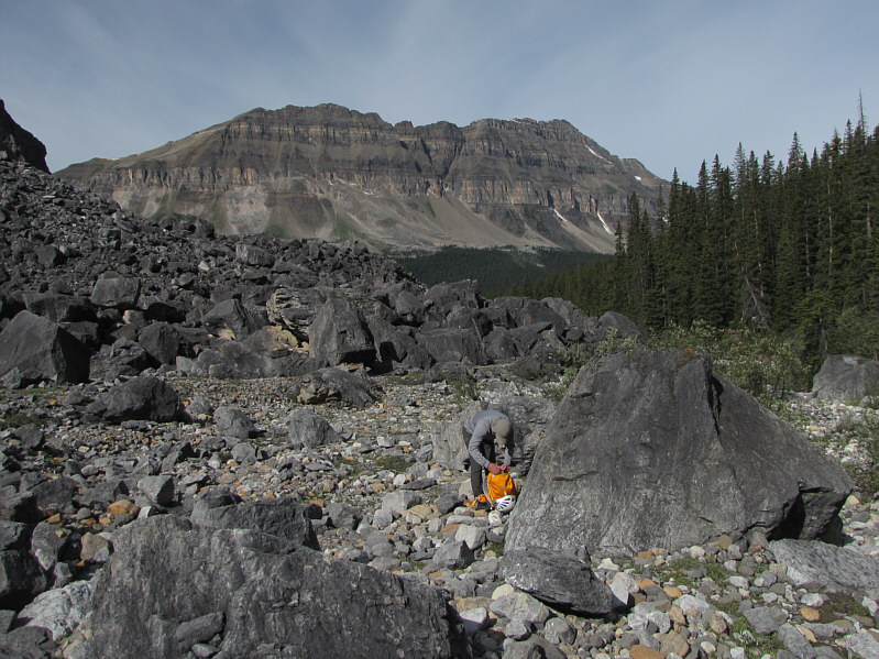 Look! Someone brought along a helmet!