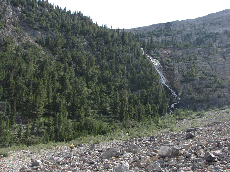 Or you could muddle your way up through the trees on the left...