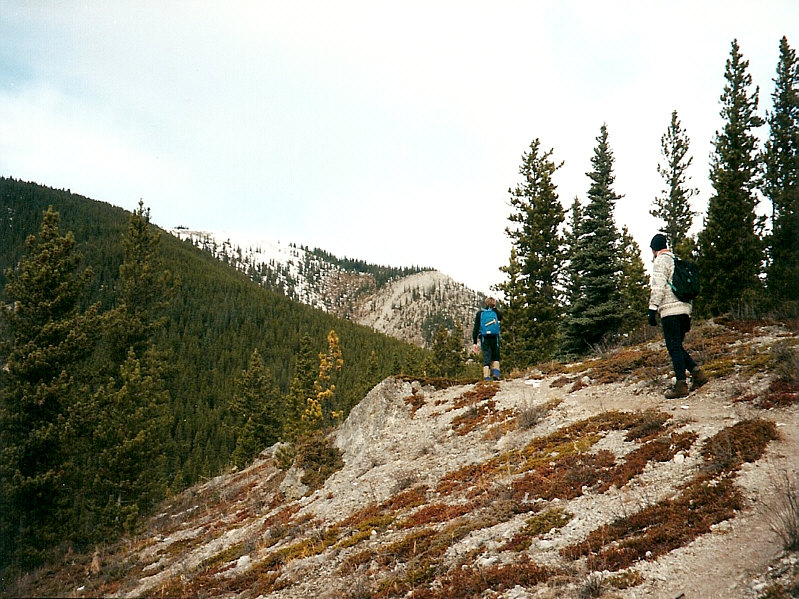 Where's all the snow??