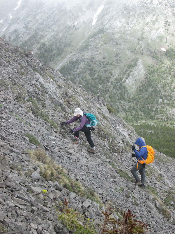 Not bad for a granny!