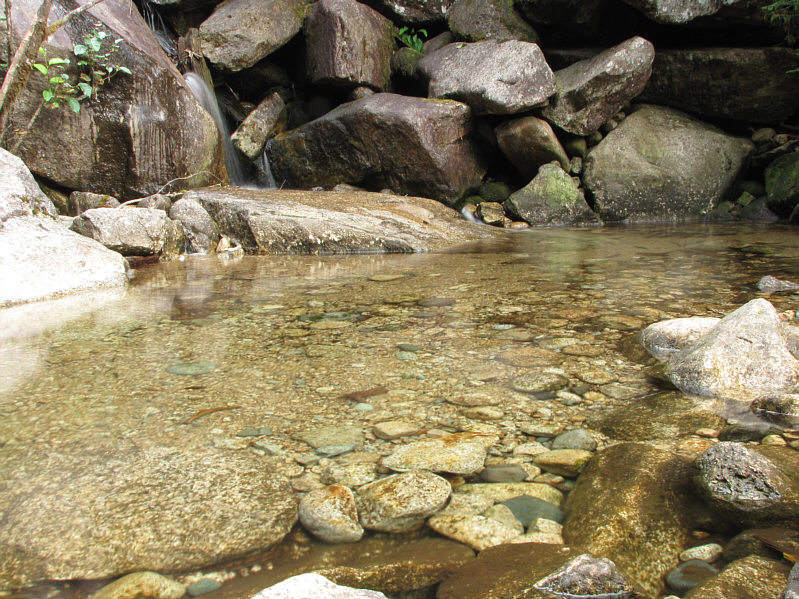 I actually booked my room at the Hotel Squamish right here!