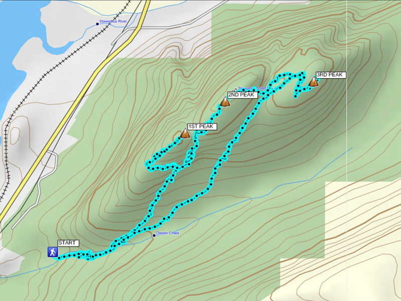 A bit crowded, but lotsa fun!