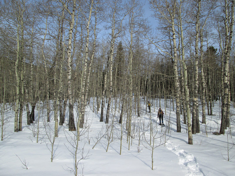 Snow conditions were not bad at the beginning...