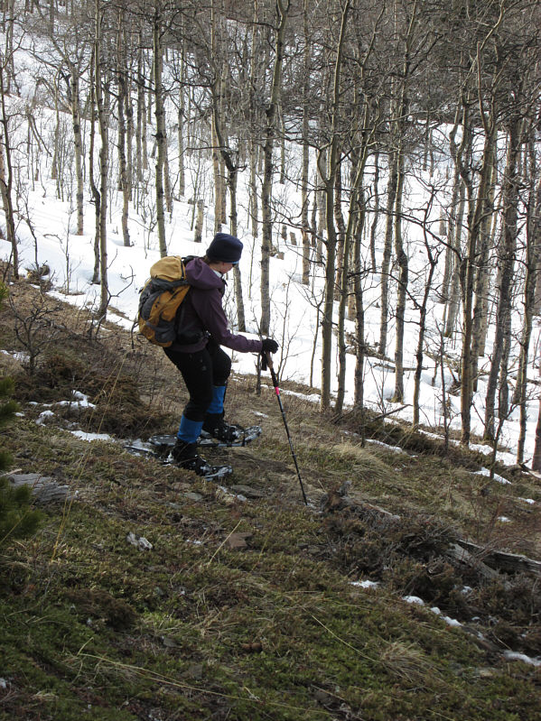 At least it's a little more forgiving on snowshoes than on skis!