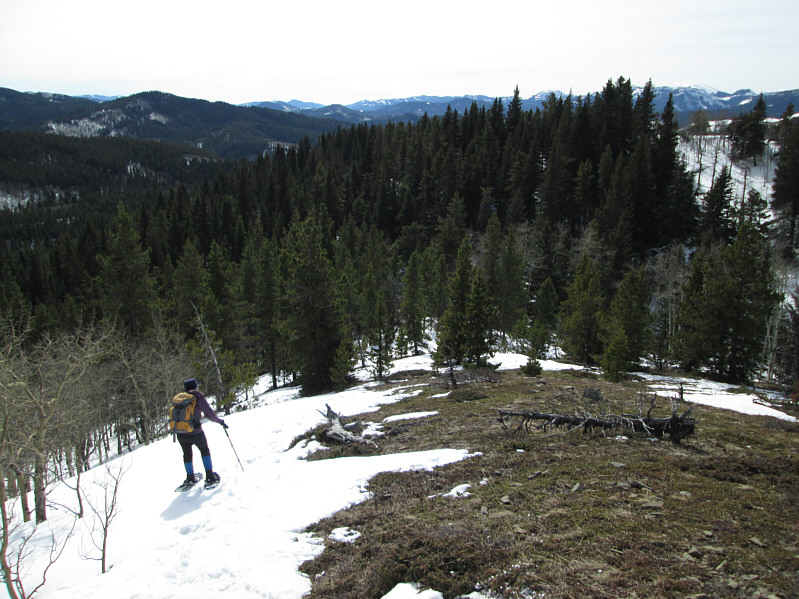 Watch out for the odd patch of ice!