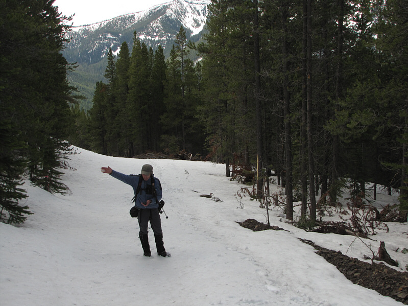 What else is there to do when you're walking up a boring fire road?!