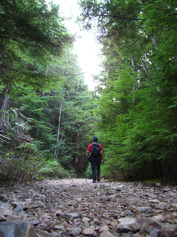 Don't expect to see much for the first several hours.