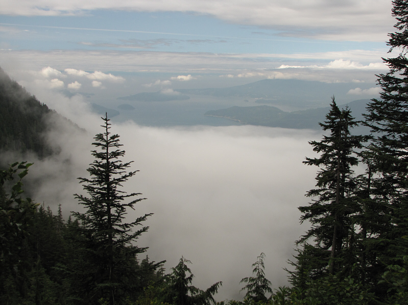 Maybe the weather will clear up after all...