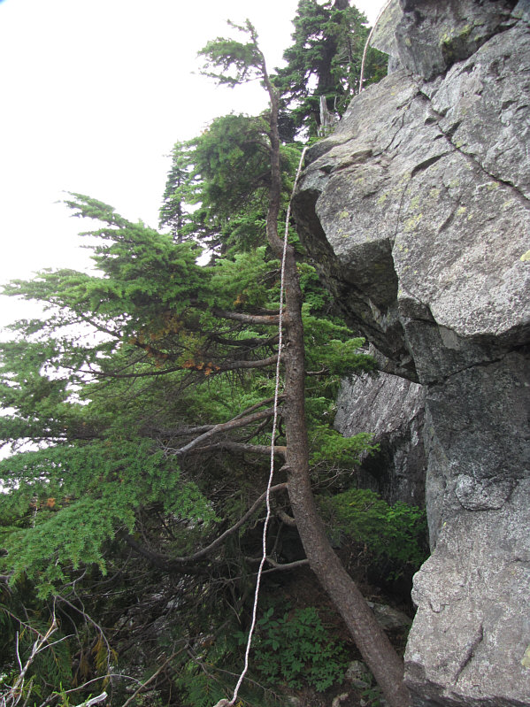 Not sure what I would have done had the rope not been there...