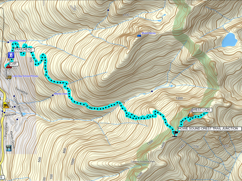 Anyone wanna come join me when I go back to tag East Lion?