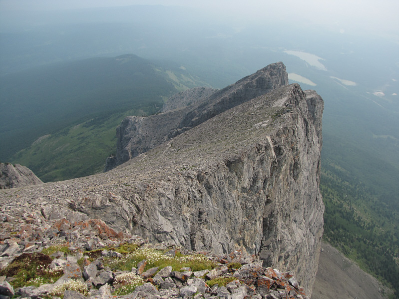 Half of Yam is better than no Yam!