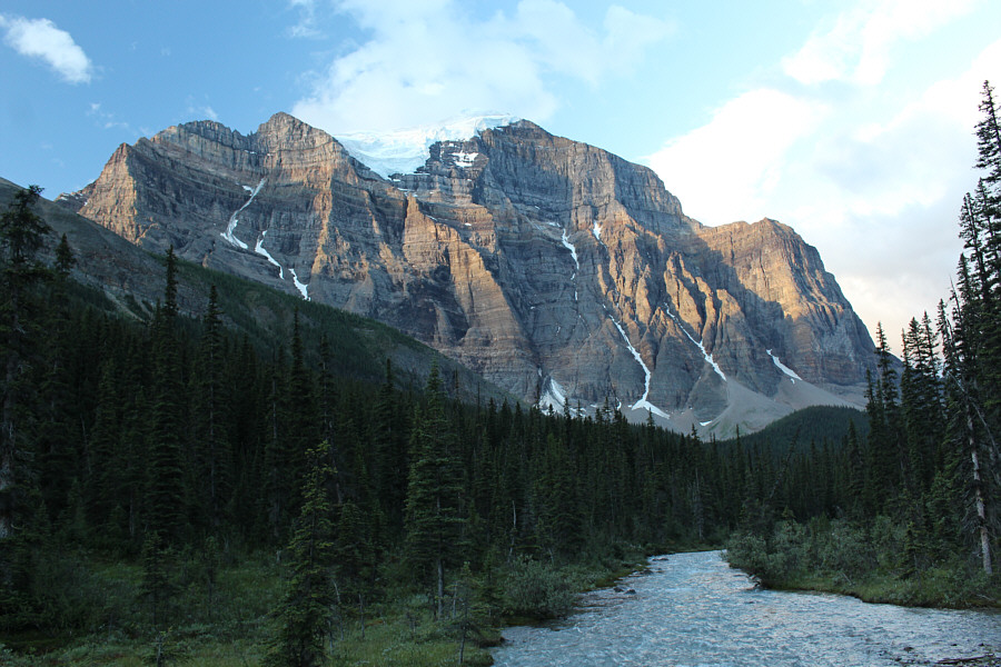 Where's the dolphin??