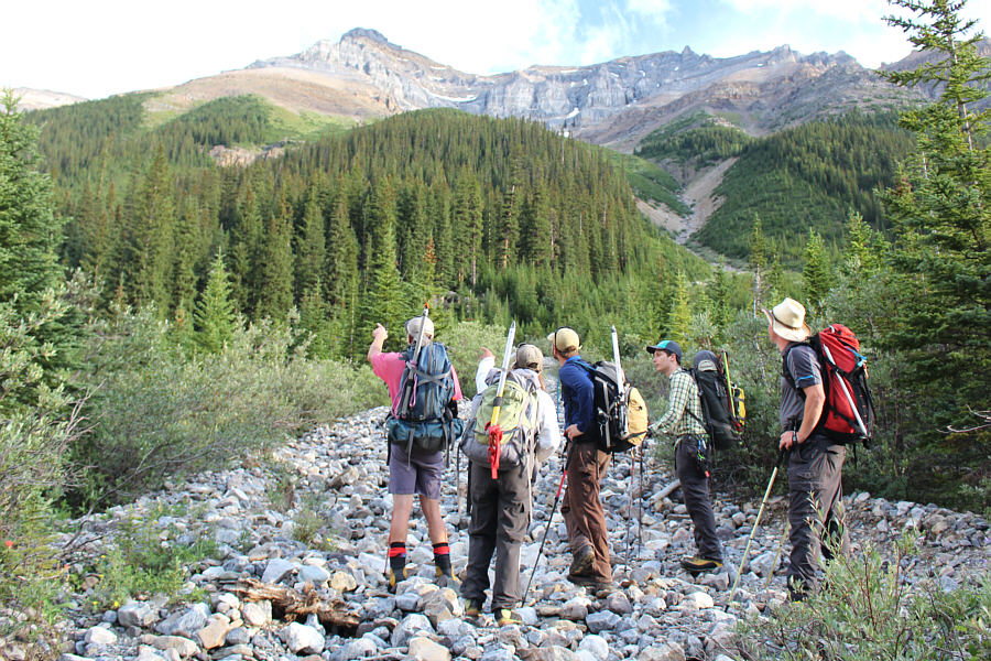 Look! That's where we want to bushwhack!