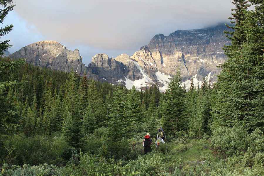 Was it really only 15 minutes to bushwhack through here? Seemed a lot longer!