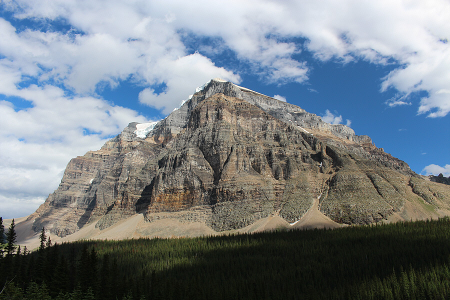 We're not out of the woods yet!