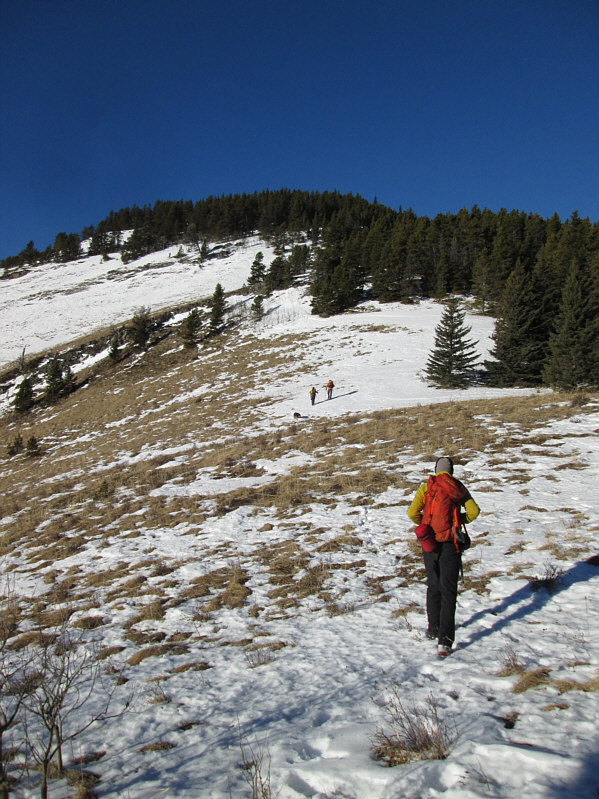 What a nice day for a hike in January!