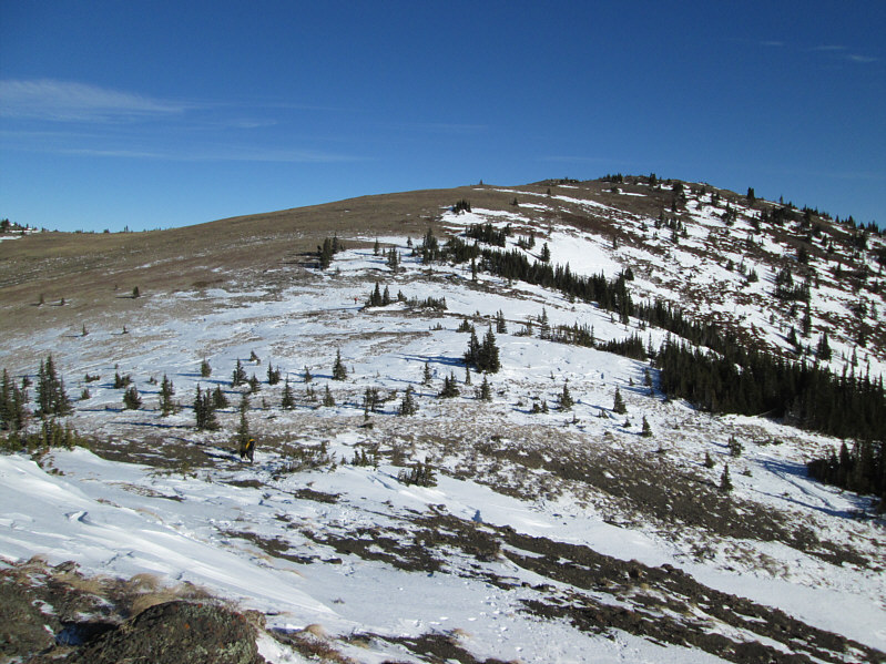 Can you spot them in the photo?