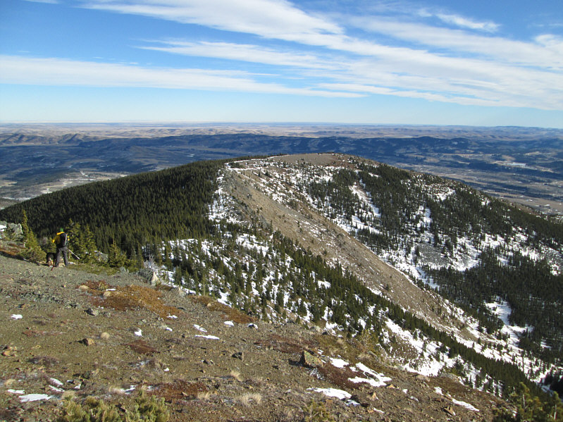 Now I can't get that Macarena song out of my head...