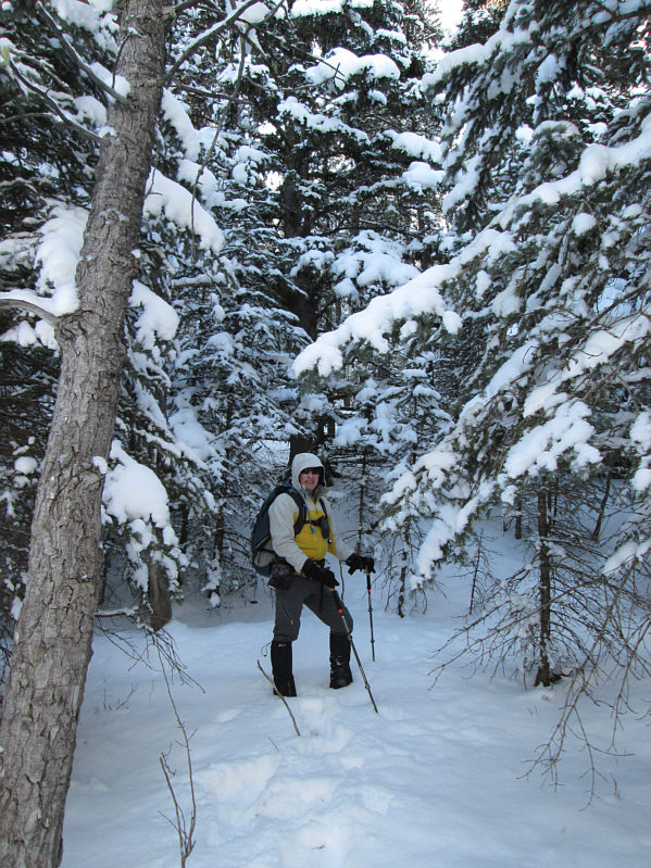 What happened to our nice road??