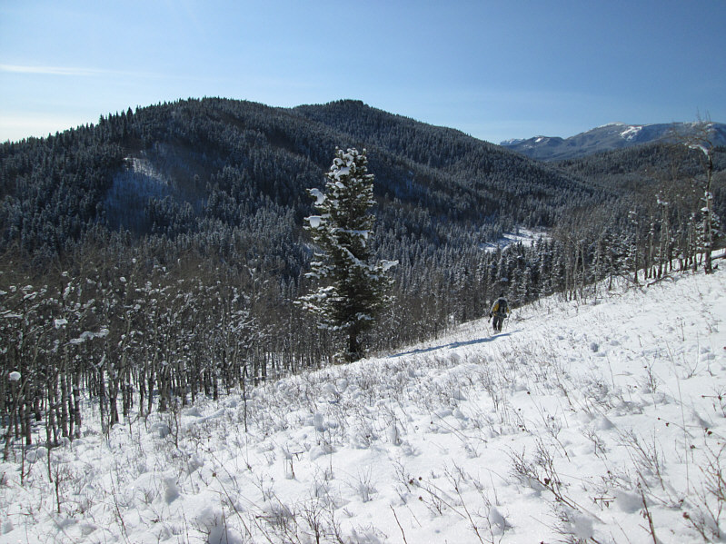 Hmmm...another forested summit?