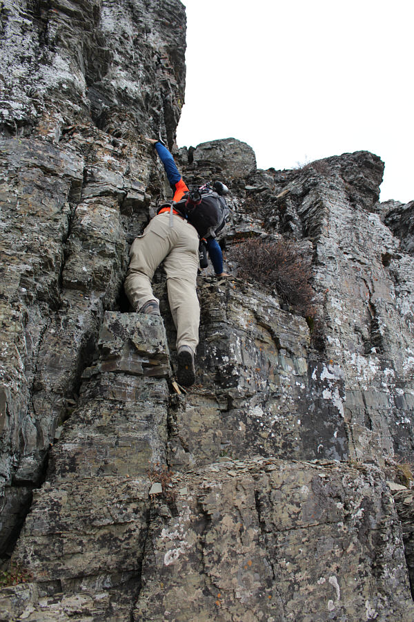 Well, if nothing else, we're at least climbing upward!