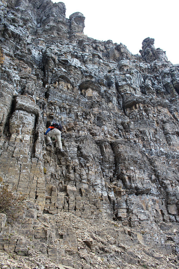 Who wants more shots of Doug's butt?