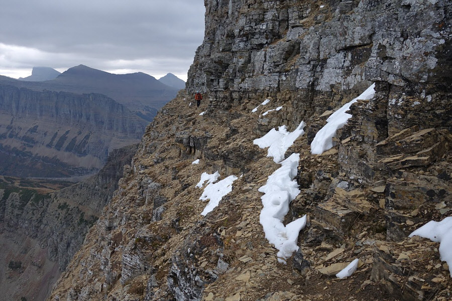 Just another walk in the park...for a goat!