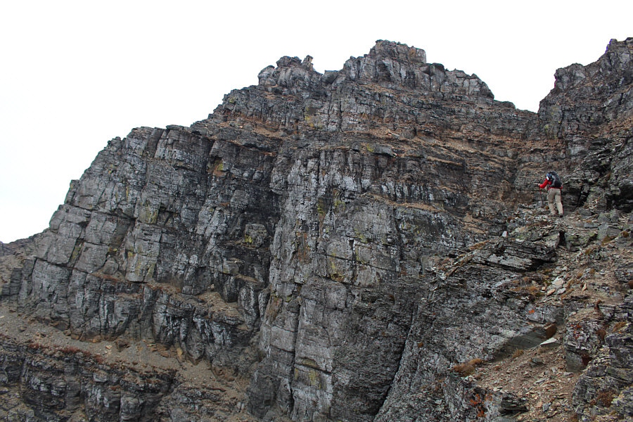 Doug is still going strong!